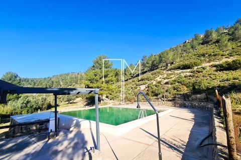 Landejendom i Enguera, Valencia, Enguera - € 1.450.000 | Ref: EnV111 - foto 44