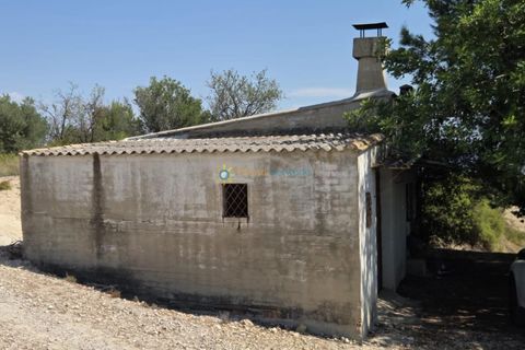 Landejendom i Belgida, Valencia, Belgida - € 50.000 | Ref: PNVL2138 - foto 2