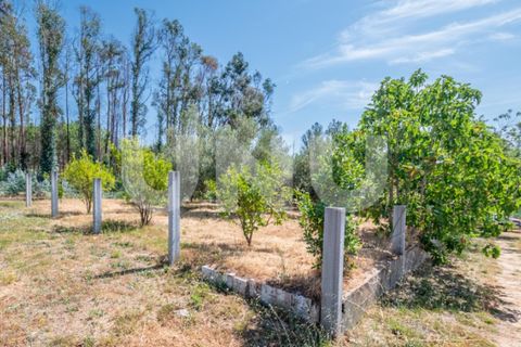 Tomt i Erada, Castelo Branco, Erada - € 22 500 | Ref: UNU.I.2223.12348 - foto 3