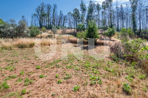 Tomt i Erada, Castelo Branco, Erada - € 22 500 | Ref: UNU.I.2223.12348 - foto 9