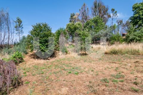 Tomt i Erada, Castelo Branco, Erada - € 22 500 | Ref: UNU.I.2223.12348 - foto 10