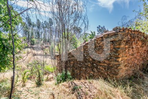 Tomt i Erada, Castelo Branco, Erada - € 22 500 | Ref: UNU.I.2223.12348 - foto 11