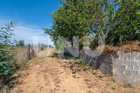 Tomt i Erada, Castelo Branco, Erada - € 22 500 | Ref: UNU.I.2223.12348 - foto 12