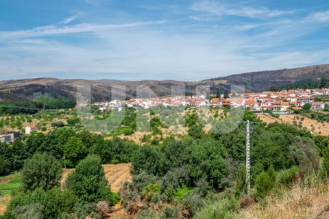 Reihenhaus in Erada, Castelo Branco, Erada - € 66.500 | Ref: UNU.I.2222.121348 - Foto 35