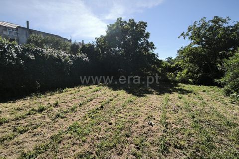 Villa en Mangualde, Viseu, Mangualde - € 110.000 | Ref: 389260118 - photo 16