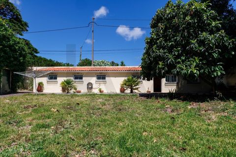 Byhus i Sintra, Lisbon, Sintra - € 1.150.000 | Ref: KWPT-035147 - foto 27