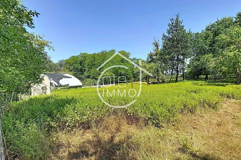 Landejendom i Caplong, Gironde, Caplong - € 272.000 | Ref: 5282 - foto 46