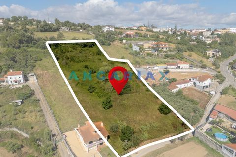Helårsgrund i Leiria, Leiria, Leiria - € 150.000 | Ref: ANG1629 - foto 8