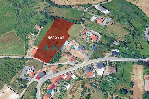 Helårsgrund i Leiria, Leiria, Leiria - € 150.000 | Ref: ANG1629 - foto 13