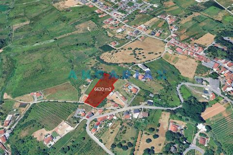 Helårsgrund i Leiria, Leiria, Leiria - € 150.000 | Ref: ANG1629 - foto 15