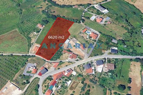 Helårsgrund i Leiria, Leiria, Leiria - € 150.000 | Ref: ANG1629 - foto 18