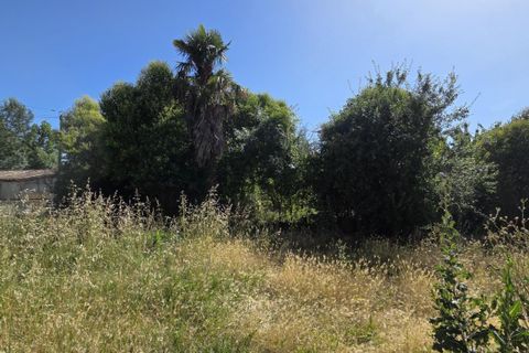 Villa a Saint-Thomas-De-Conac, Charente-Maritime, Saint-Thomas-De-Conac - € 112.500 | Ref: JP4470 - foto 3