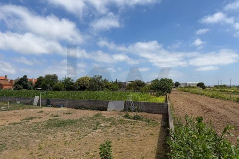 Tomt i Aveiro, Aveiro, Aveiro - € 250 000 | Ref: KWPT-034942 - foto 6