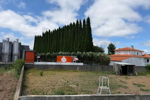 Tomt i Aveiro, Aveiro, Aveiro - € 250 000 | Ref: KWPT-034942 - foto 7