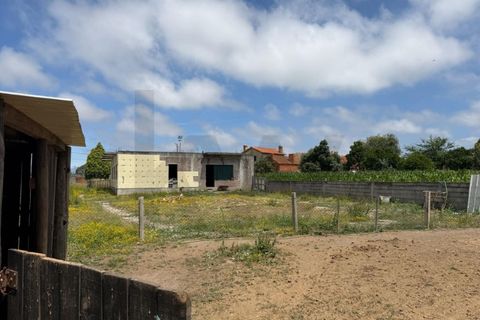 Tomt i Aveiro, Aveiro, Aveiro - € 250 000 | Ref: KWPT-034942 - foto 20