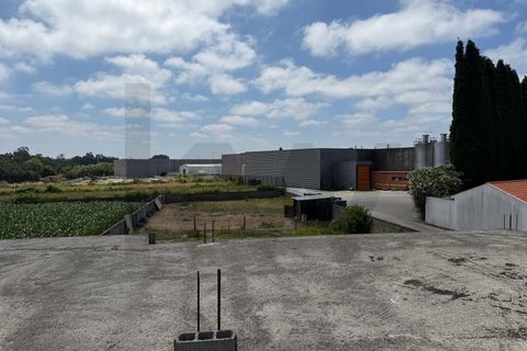 Tomt i Aveiro, Aveiro, Aveiro - € 250 000 | Ref: KWPT-034942 - foto 24