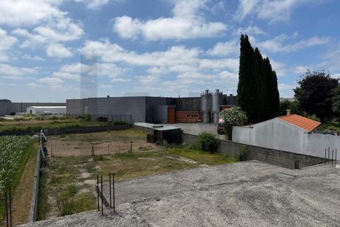 Tomt i Aveiro, Aveiro, Aveiro - € 250 000 | Ref: KWPT-034942 - foto 25