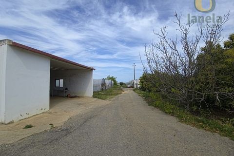 Gård i Olhao, Faro, Olhao - € 1 750 000 | Ref: QTA14268 - foto 13