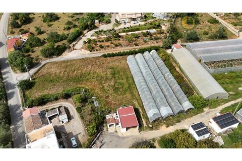 Gård i Olhao, Faro, Olhao - € 1 750 000 | Ref: QTA14268 - foto 25