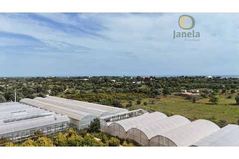 Gård i Olhao, Faro, Olhao - € 1 750 000 | Ref: QTA14268 - foto 28
