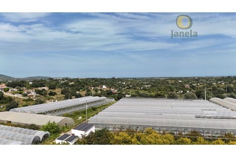 Gård i Olhao, Faro, Olhao - € 1 750 000 | Ref: QTA14268 - foto 29