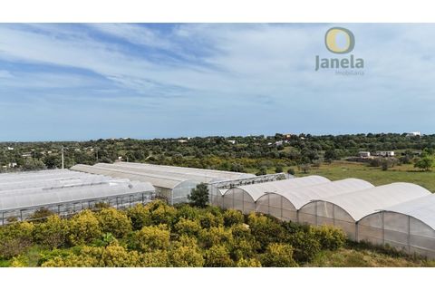 Gård i Olhao, Faro, Olhao - € 1 750 000 | Ref: QTA14268 - foto 30