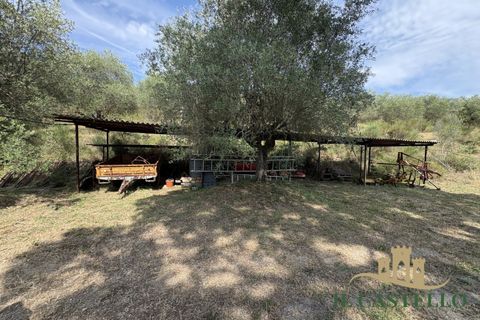 Landejendom i Panicale, Perugia, Panicale - € 860.000 | Ref: CR210 - foto 45
