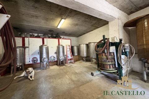 Landejendom i Panicale, Perugia, Panicale - € 860.000 | Ref: CR210 - foto 46