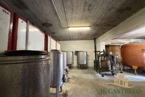 Landejendom i Panicale, Perugia, Panicale - € 860.000 | Ref: CR210 - foto 49