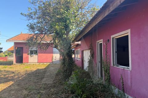 Villa i Beduido e Veiros, Aveiro, Beduido e Veiros - € 185.000 | Ref: 1060996/26 AL - foto 23