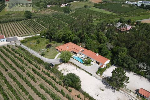 Villa i Alcobaca, Leiria, Alcobaca - € 650.000 | Ref: AO-VIV-0193 - foto 4