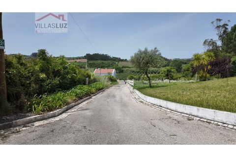Villa i Alcobaca, Leiria, Alcobaca - € 650.000 | Ref: AO-VIV-0193 - foto 8