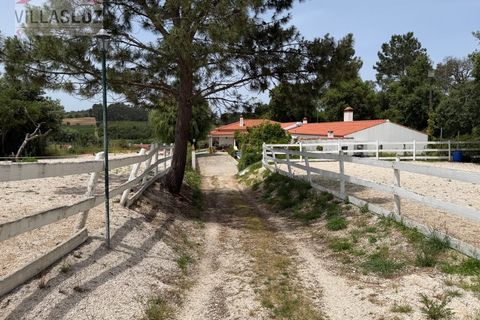 Villa i Alcobaca, Leiria, Alcobaca - € 650.000 | Ref: AO-VIV-0193 - foto 12