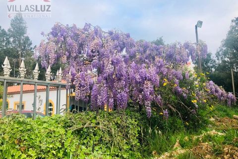 Villa i Alcobaca, Leiria, Alcobaca - € 650.000 | Ref: AO-VIV-0193 - foto 18
