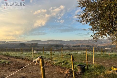 Villa i Alcobaca, Leiria, Alcobaca - € 650.000 | Ref: AO-VIV-0193 - foto 19