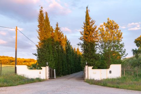 Farm hus i Estremoz, Evora, Estremoz - € 2.100.000 | Ref: C0417-00465 - foto 5