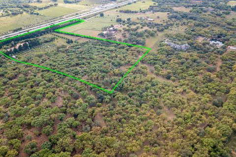 Farm hus i Estremoz, Evora, Estremoz - € 2.100.000 | Ref: C0417-00465 - foto 6