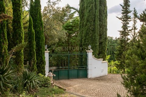 Farm hus i Estremoz, Evora, Estremoz - € 2.100.000 | Ref: C0417-00465 - foto 8
