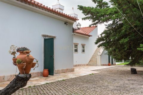 Farm hus i Estremoz, Evora, Estremoz - € 2.100.000 | Ref: C0417-00465 - foto 13