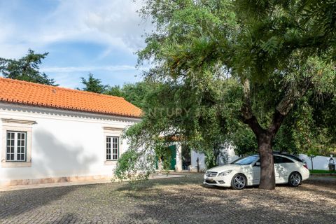 Farm hus i Estremoz, Evora, Estremoz - € 2.100.000 | Ref: C0417-00465 - foto 17