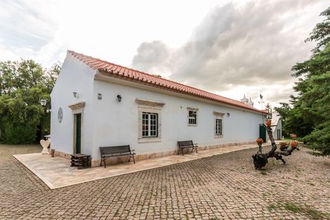 Farm hus i Estremoz, Evora, Estremoz - € 2.100.000 | Ref: C0417-00465 - foto 50