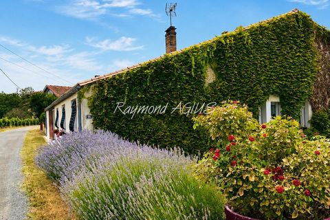 Villa em Pineuilh, Gironde, Pineuilh - € 346.000 | Ref: 36321 - foto 2