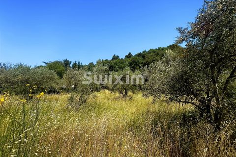 Tomt i Nyons, Drome, Nyons - € 130 000 | Ref: 2507FB - foto 3