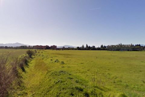 Terra a Decimomannu, Cagliari, Decimomannu - € 50.000 | Ref: 2639816 - foto 2