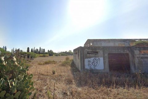 Terra a Decimomannu, Cagliari, Decimomannu - € 50.000 | Ref: 2639816 - foto 3