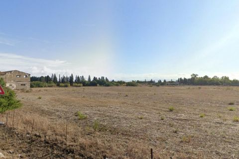 Terra a Decimomannu, Cagliari, Decimomannu - € 50.000 | Ref: 2639816 - foto 4