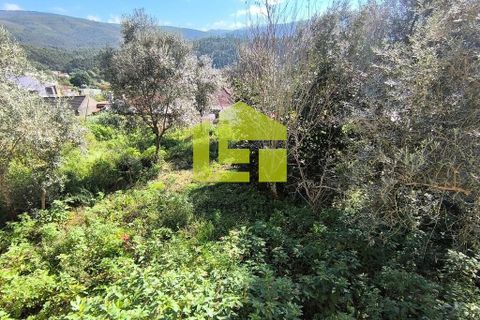 Stadthaus in Lousa, Coimbra, Lousa - € 75.000 | Ref: LT1292 - Foto 8