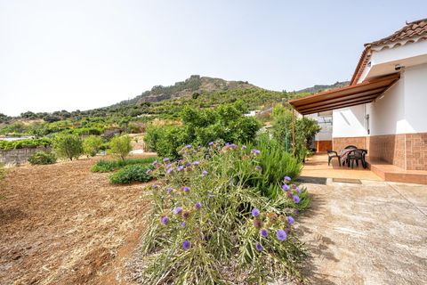 Villa a Valsequillo (Telde), Gran Canaria, Valsequillo (Telde) - € 350.000 | Ref: 14305-PGG/2912 - foto 3