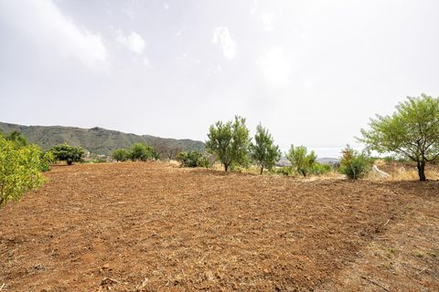 Villa a Valsequillo (Telde), Gran Canaria, Valsequillo (Telde) - € 350.000 | Ref: 14305-PGG/2912 - foto 26