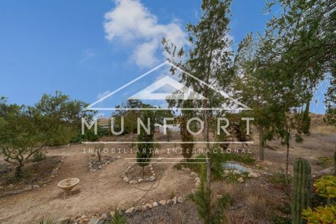 Landejendom i Murcia, Murcia, Murcia - € 229.900 | Ref: DH259-D - foto 35